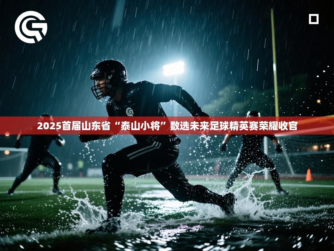 鲸蓝体育app-2025首届山东省“泰山小将”数选未来足球精英赛荣耀收官 第4张