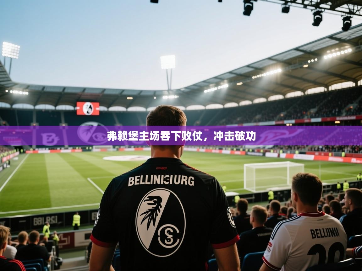 蓝鲸体育app电脑-弗赖堡主场吞下败仗,冲击破功 第3张
