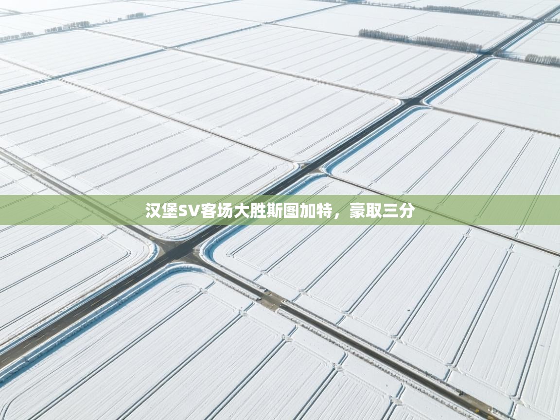 蓝鲸体育app下载-汉堡SV客场大胜斯图加特，豪取三分  第4张