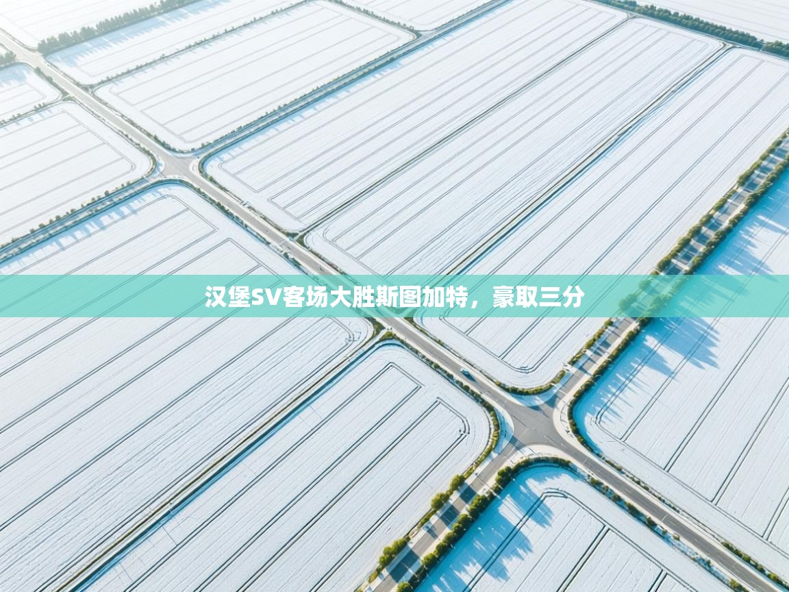 蓝鲸体育app下载-汉堡SV客场大胜斯图加特，豪取三分  第3张